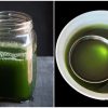 Aloe Vera Oil for hair growth