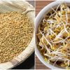 Health Benefits of Uluva Mulappichathu
