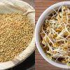 Health Benefits of Uluva Mulappichathu malayalam