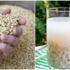 Weight Loss helping Breakfast using Barley tip