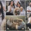Gayathri Suresh share new family photo viral
