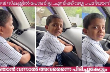 ചിരിച്ച് ചിരിച്ച്‌ ഒരു വഴിയായി.!! ഇല്ല ഞാൻ സ്കൂളിൽ പോണില്ല..എനിക്ക് വയ്യ ..പനിയാണ്; വൈറലായി കുരുന്നിന്റെ വീഡിയോ | Little lazy boy video viral