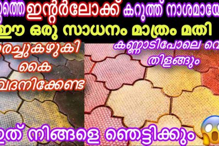 ഈ ഒരു സാധനം മാത്രം മതി; ഉരച്ചു കഴുകി കൈവേദനിപ്പിക്കണ്ട.! ഇന്റർലോക്ക് കട്ടകൾ എളുപ്പത്തിൽ വൃത്തിയാക്കി എടുക്കാനായി ഈയൊരു ട്രിക്ക് ചെയ്തു നോക്കൂ! Interlock Cleaning Tip