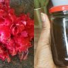 Grey Hair To Black Naturally using Hibiscus