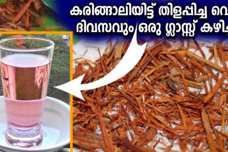 കരിങ്ങാലി വെറുമൊരു ദാഹശമനിയല്ല.! സ്ഥിരമായി കരിങ്ങാലി വെള്ളം കുടിക്കുന്നത് കൊണ്ടുള്ള ആരോഗ്യപരമായ ഗുണങ്ങൾ | karingali water benefits