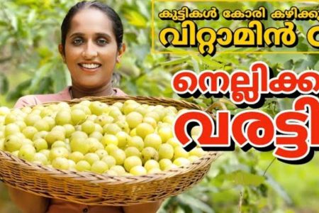 ഇനി വിറ്റാമിൻ സ്വദോടെ കഴിക്കാം.! നെല്ലിക്ക വരട്ടി ഇങ്ങനെയൊന്ന് ഉണ്ടാക്കിനോക്കൂ; കുട്ടികൾ കോരി കഴിക്കും | Gooseberry jam