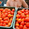 Tomato Preserving tip
