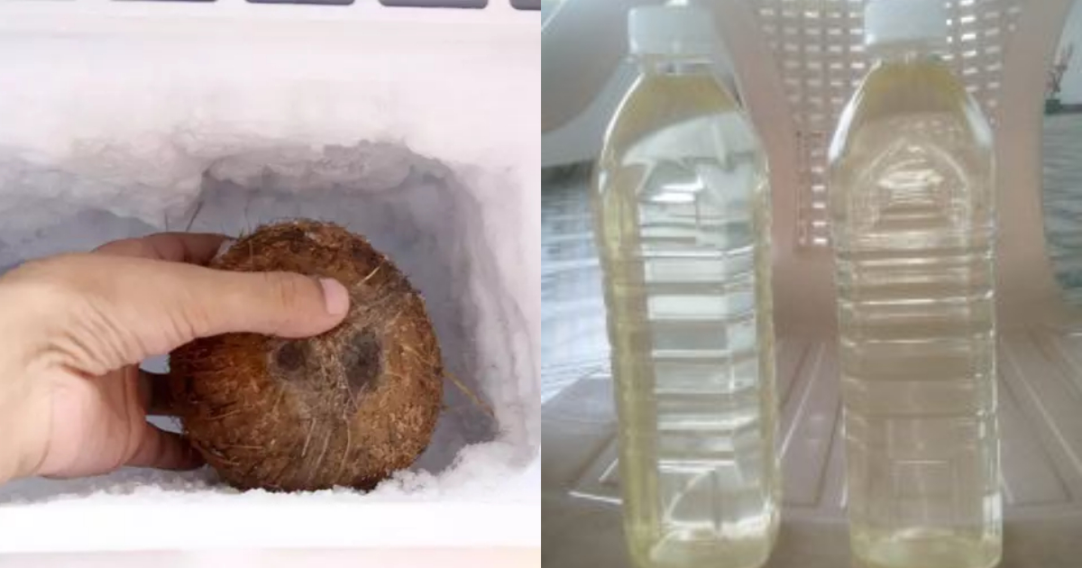 Homemade Virgin Coconut Oil