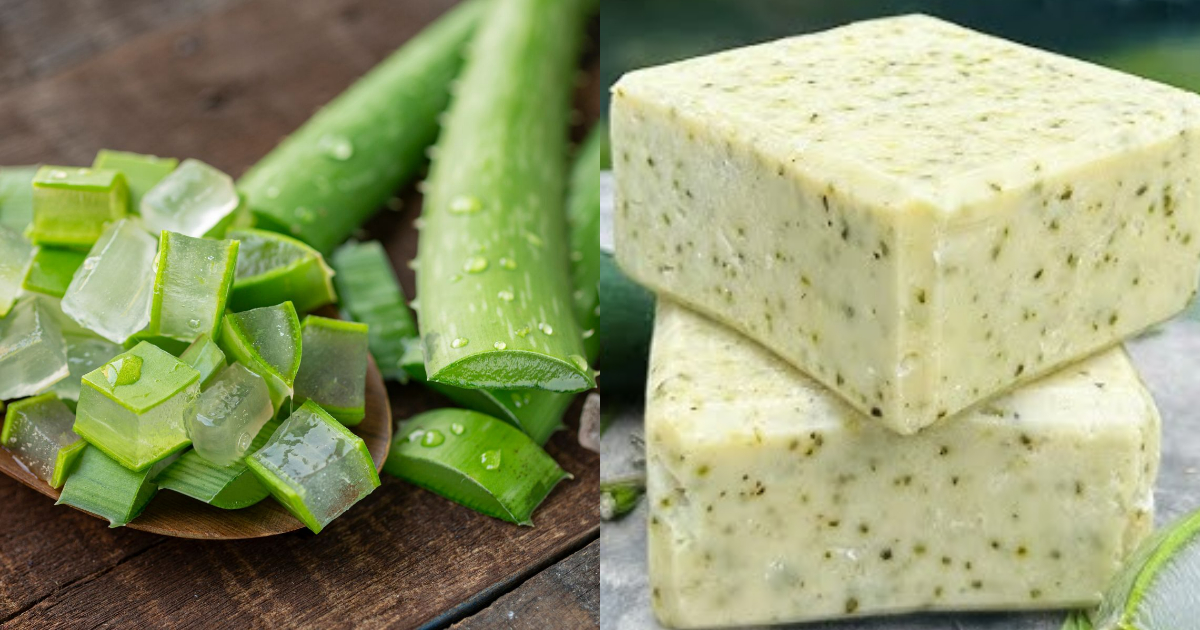 5 minutes Aloe vera Soap making