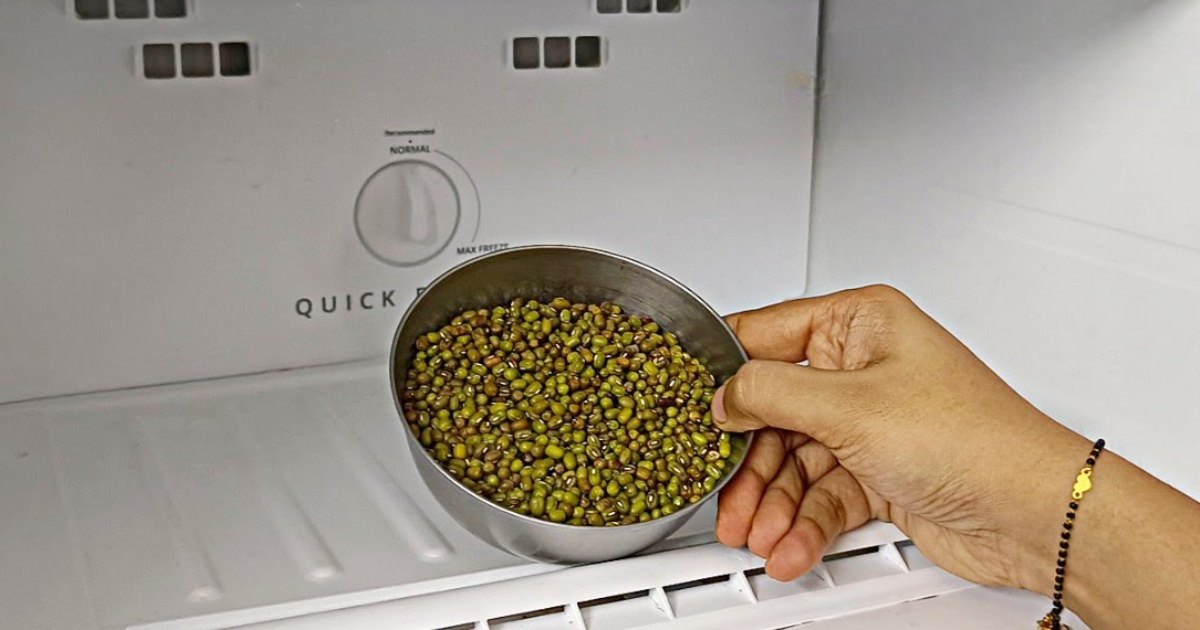 Cherupayar in fridge freezer