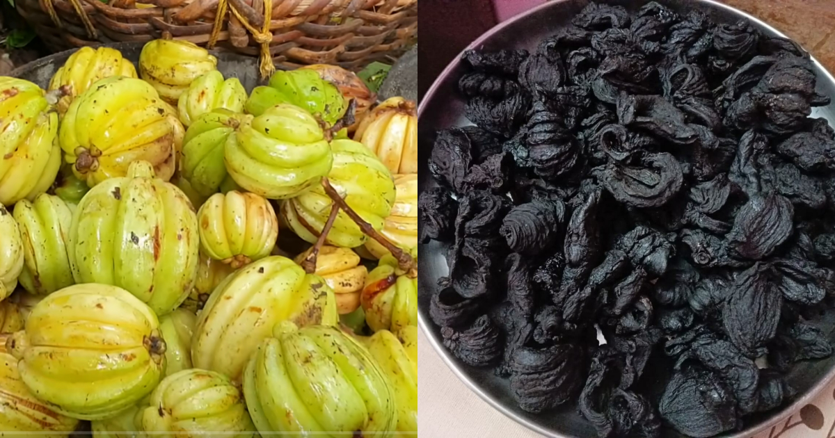Dried Kudampuli tip