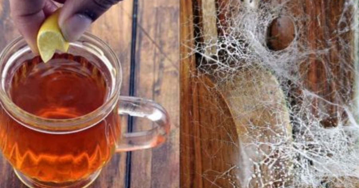 Spider Web Cleaning tip